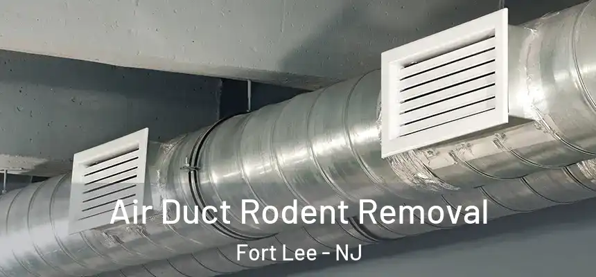 Air Duct Rodent Removal Fort Lee - NJ
