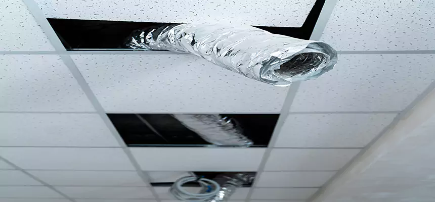 Affordable HVAC Sanitizing After Pest Removal in Fort Lee