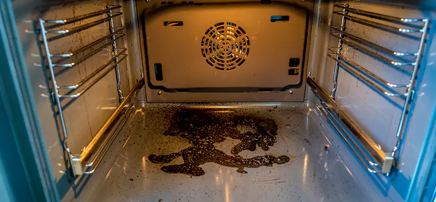 Our Dryer Vent Mold Cleaning Services in Fort Lee, NJ