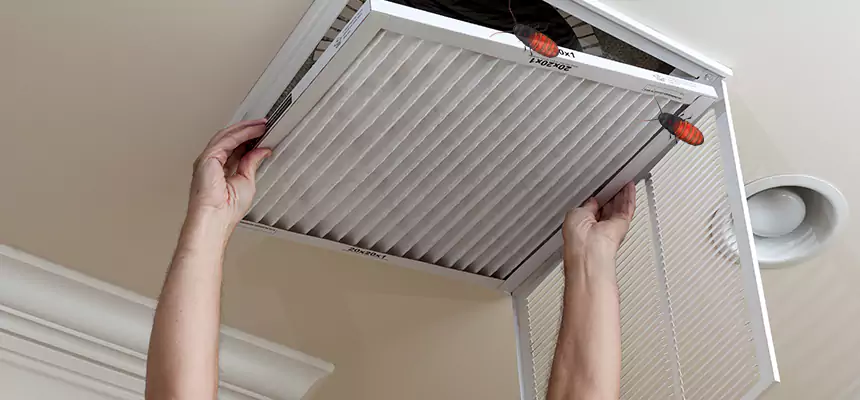 Our Insect Removal from Air Ducts Services in Fort Lee, NJ