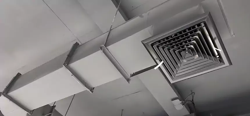 Our Pest Removal From Ducts Services in Fort Lee, NJ