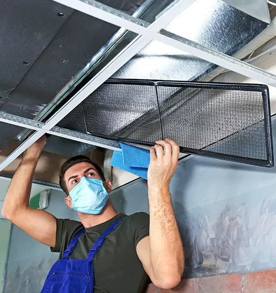 About Air Duct Bacteria Removal in Fort Lee