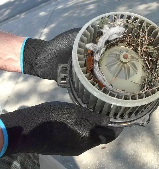 About Air Duct Mice Removal in Fort Lee, NJ